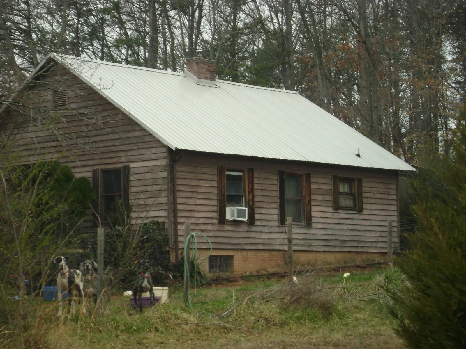 White metal roof on an old wood sided farmhouse, from a Asphalt Shingle Roof Repair job in Lewistown